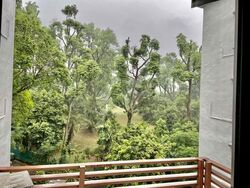 Botanic Gardens Mansion (D10), Apartment #586653341